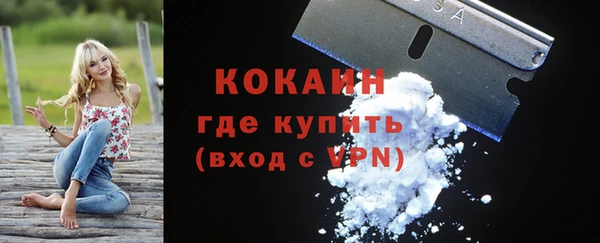 амф Няндома