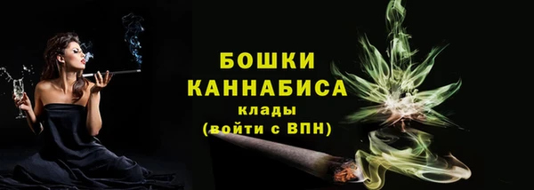 амф Няндома