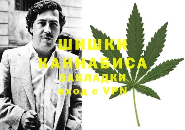 амф Няндома