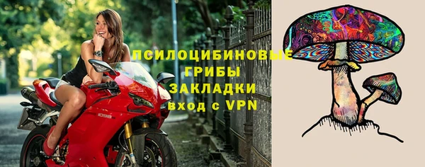 меф Осинники