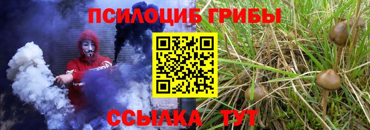 где найти наркотики  Вход с VPN  Рязань  Галлюциногенные грибы мицелий 